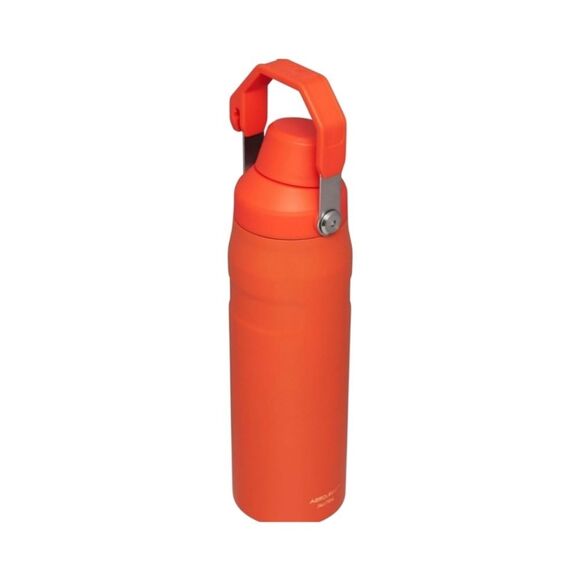Stanley IceFlow Fast Flow Water Bottle 24oz NEW Tigerlily Plum - Picture 3 of 5